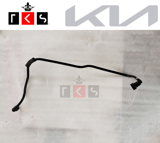 Manguera Filtro Canister Kia Sportage 2016-2021